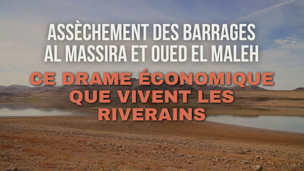 VIDEO. Assèchement des barrages Al Massira et Oued El Maleh : Ce drame économique que vivent les riverains